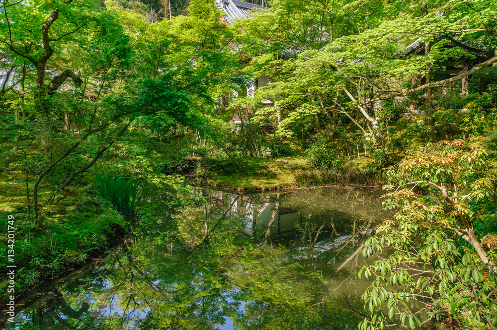 Fototapeta premium japoński krajobraz - enkoji - kioto