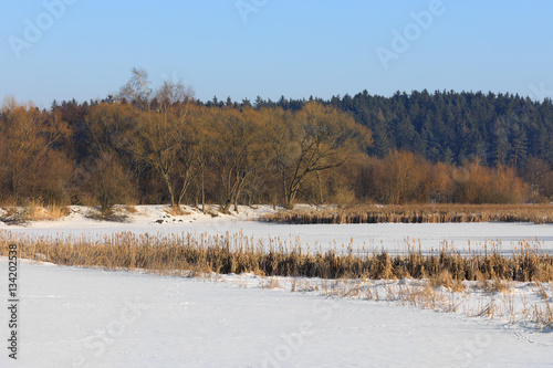 Wallpaper Mural Beautiful winter rural landscape with pond Torontodigital.ca