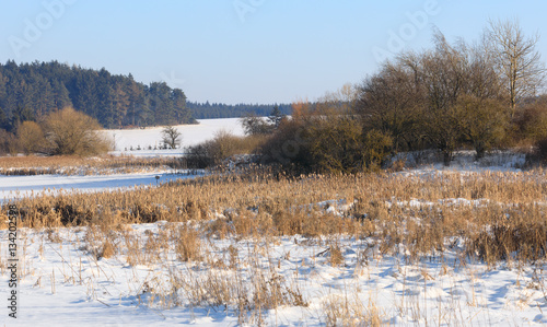 Beautiful winter rural landscape with pond