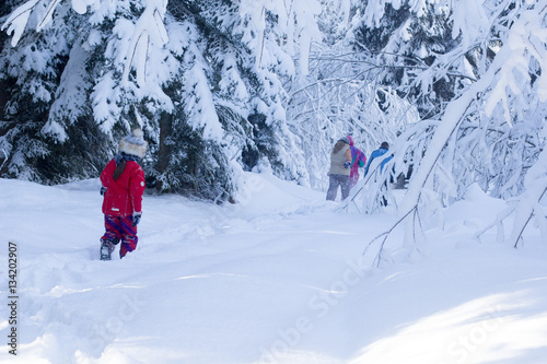 Kids walking in snowy forest