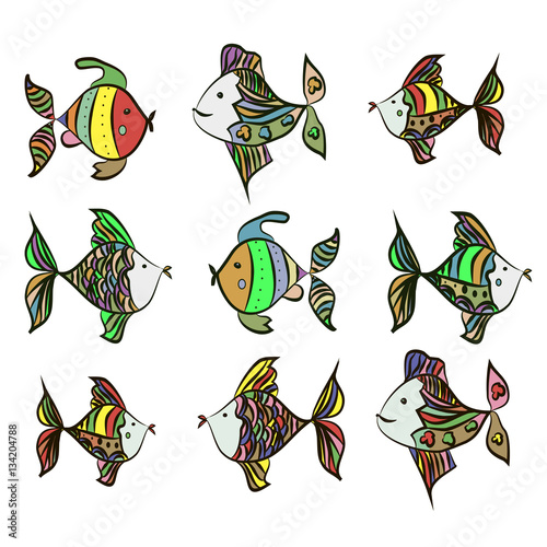Collection of fish on an isolated background