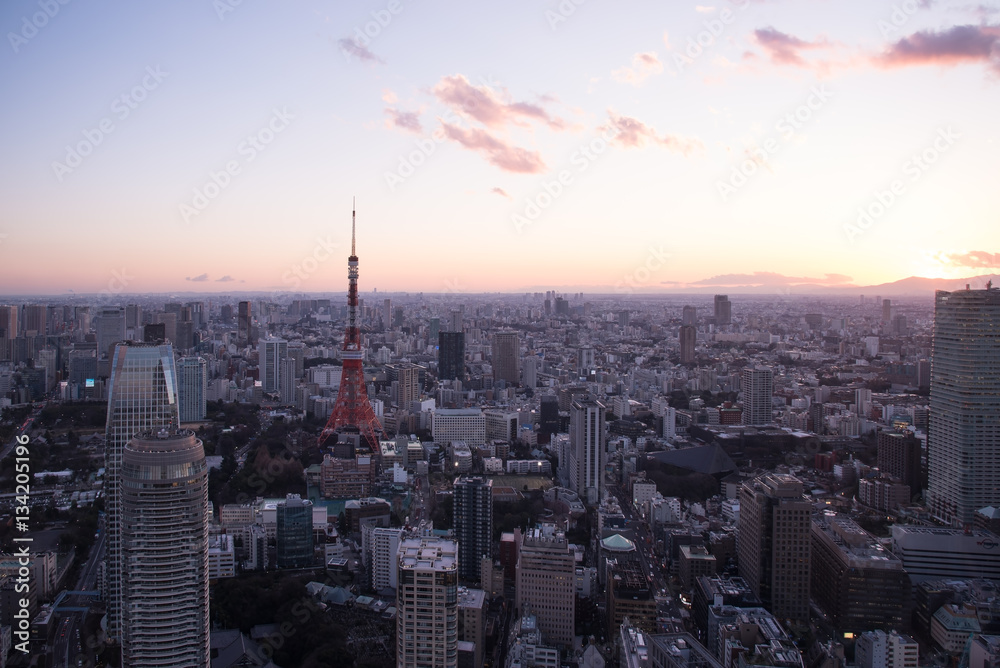 東京タワーと東京都心の夕景