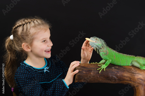 little girl feeds a green iguana   