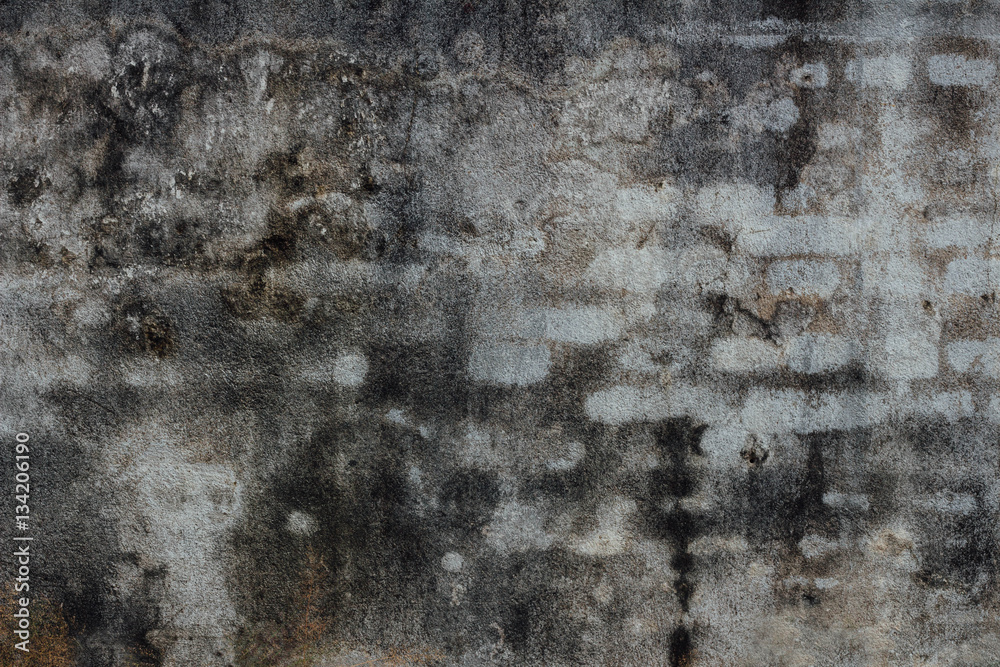 Obraz premium abstract vintage wall background from cement and concrete textur
