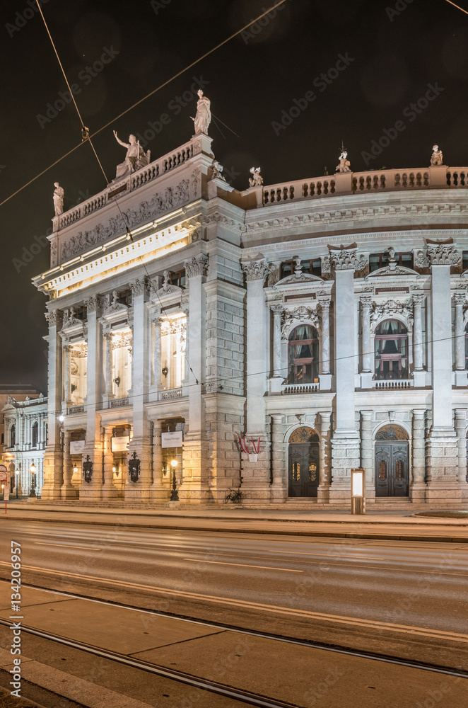 Obraz premium Vienna, Austria, city theater (Burgtheater) on Universitatsring street in the night