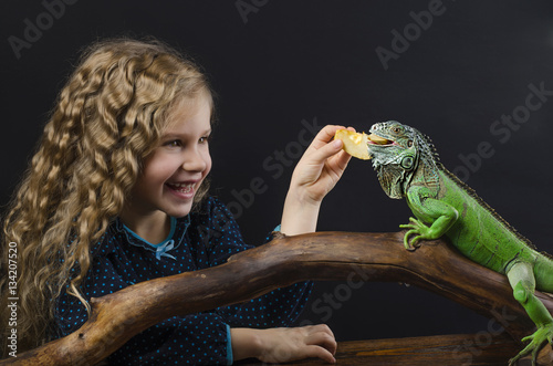 little girl feeds a green iguana   