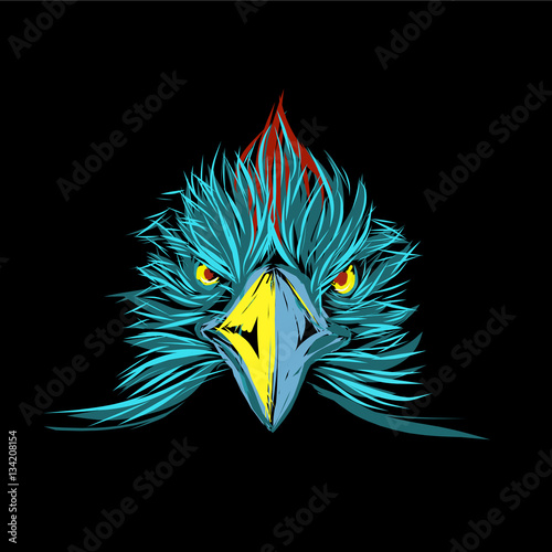 Eagle on black