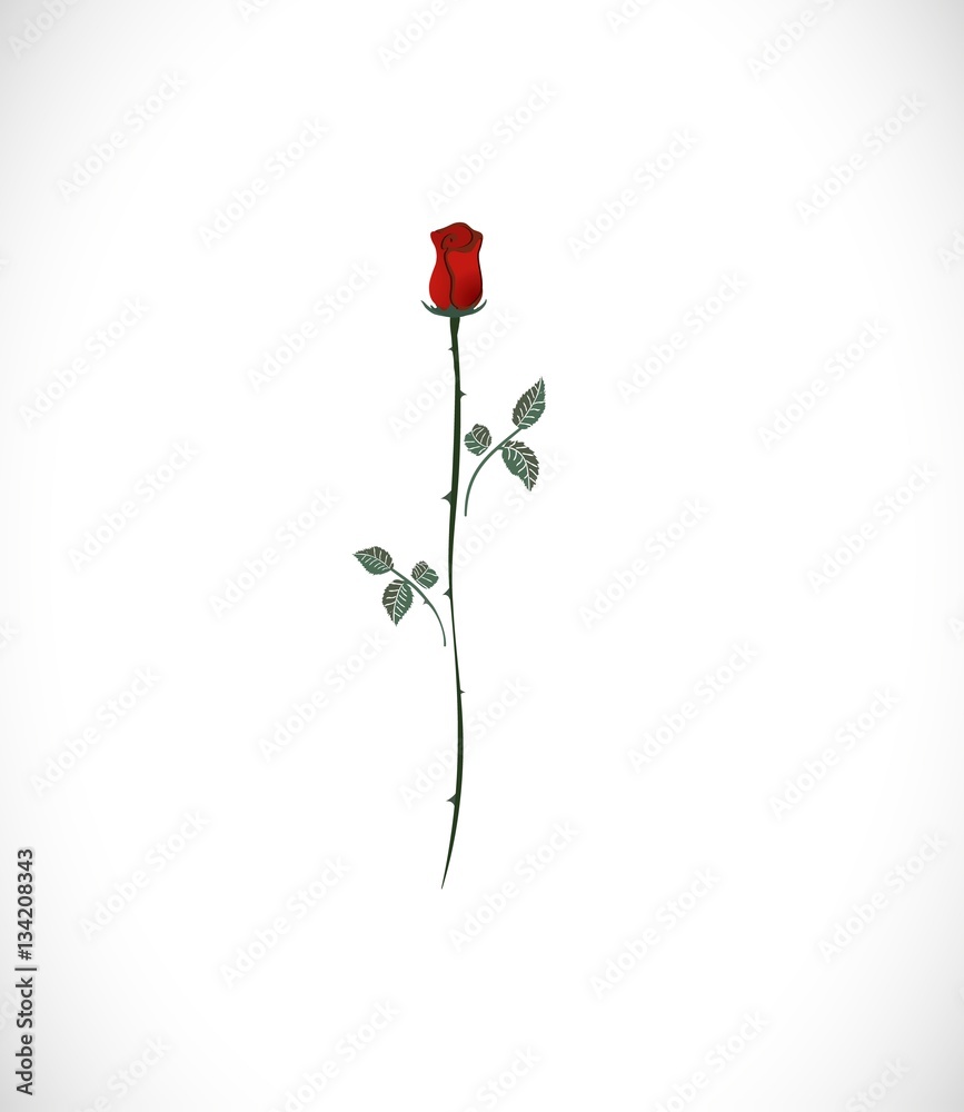 elegance red rose silhouette. long rose in bouquet. beautiful flower. bouquet on holidays and romantic date. red rose icon. logo for decoration and elegance decor border
