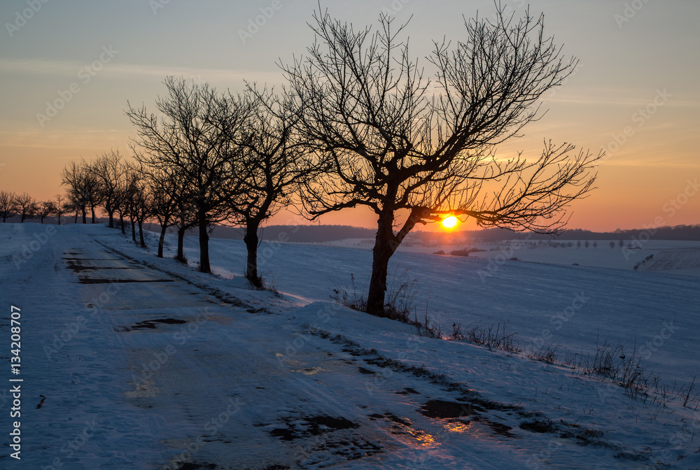 Winter landscape with fields and meadows / Sunset in the winter Winter landscape with fields and meadows / Sunset in the winter