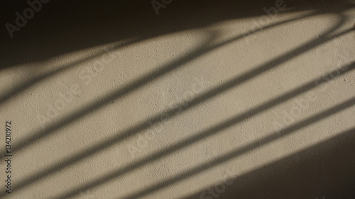 Gate Shadow projected on a Plaster Wall