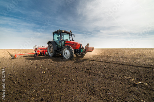 Fotografie seeding crops at field