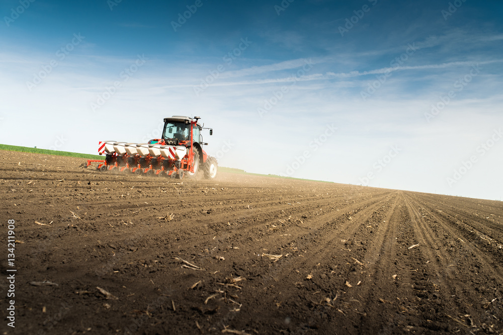 Obraz premium seeding crops at field