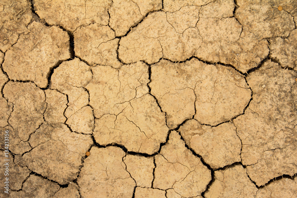 Cracked dry brown soil background, global warming effect Cracked dry brown soil background, global warming effect
