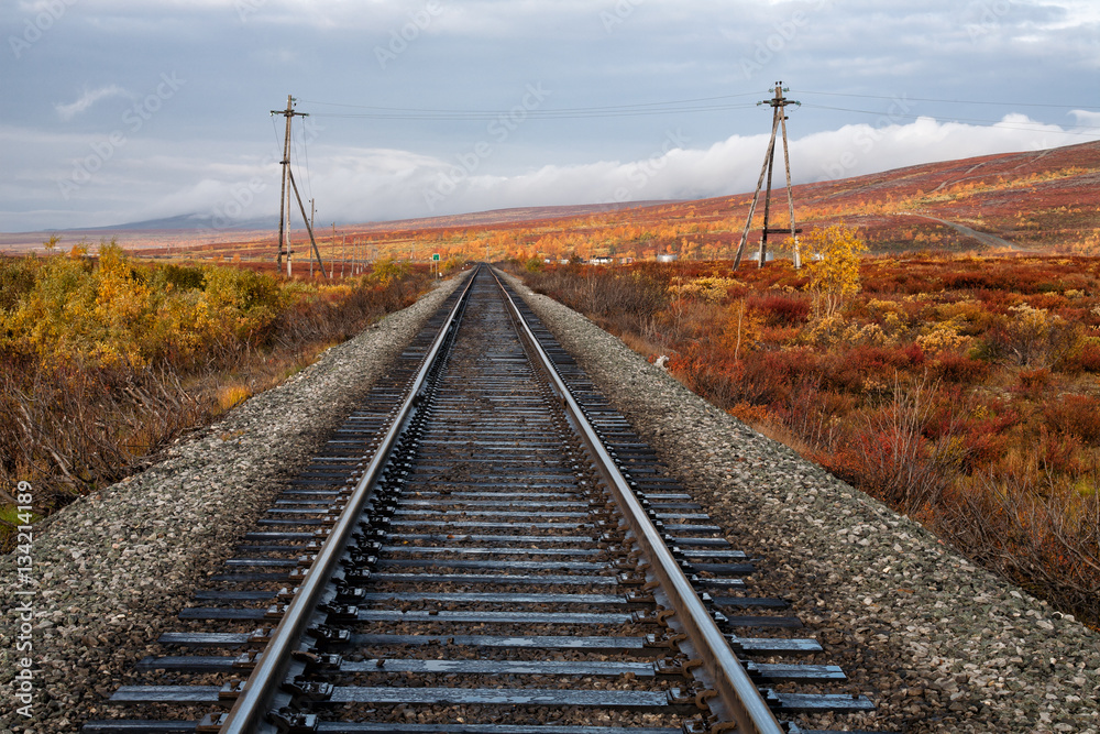 Rail and surroundings in autumn colors. Polar Urals. Russia.