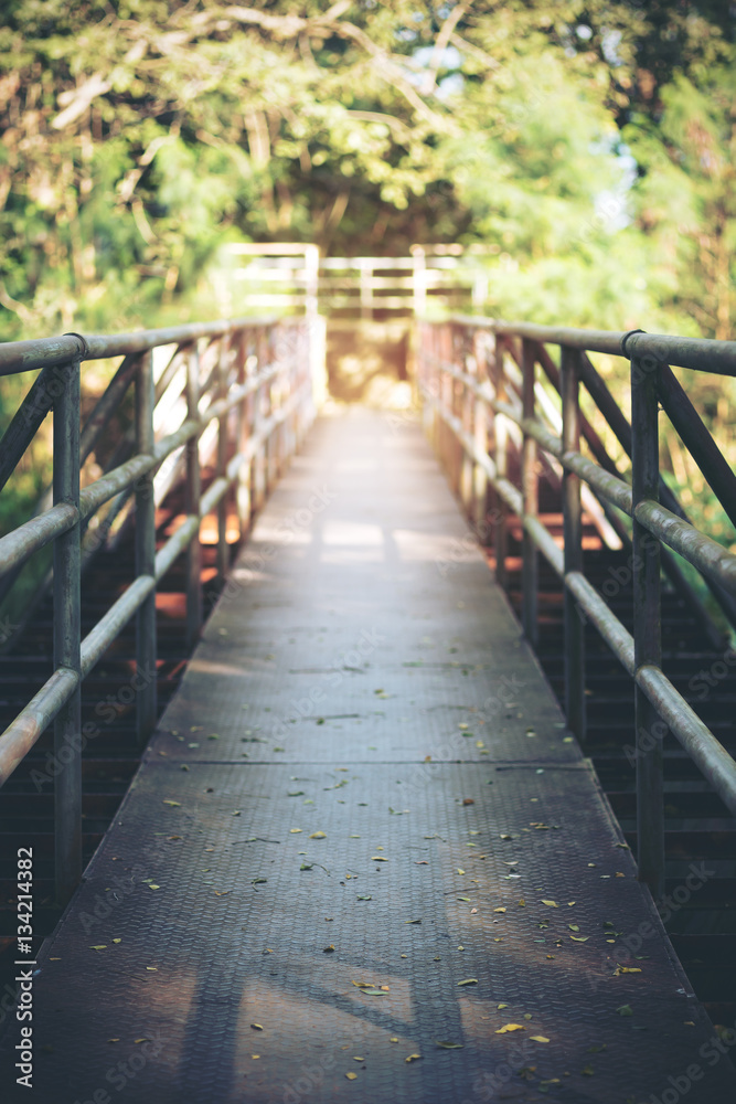 A long walking way on the bridge with green nature background