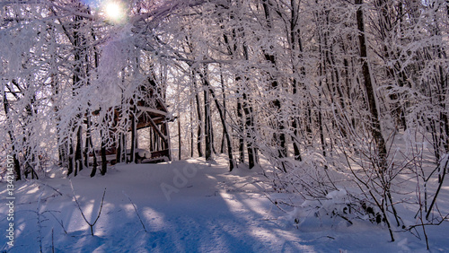 Picnic shelter in forest covered with snow