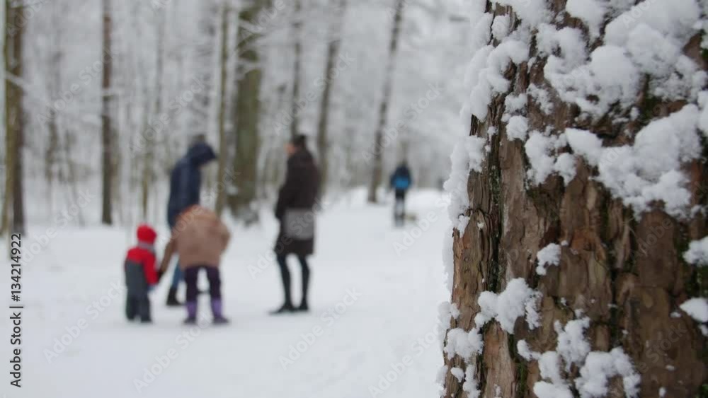 Winter park with snow covered trees, a family with children walking in the park. People blurred.
