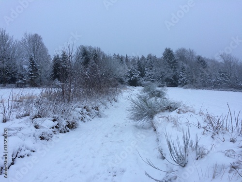 Naturlandschaft im Schnee