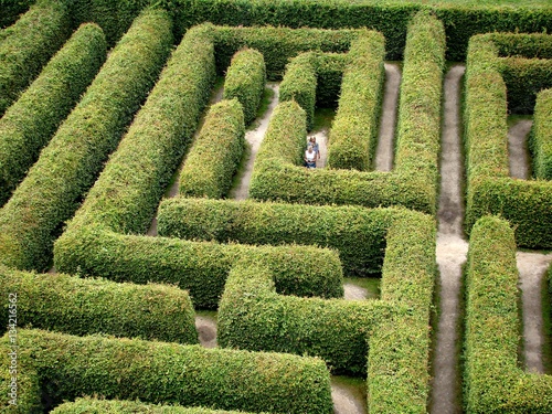 Hedge maze