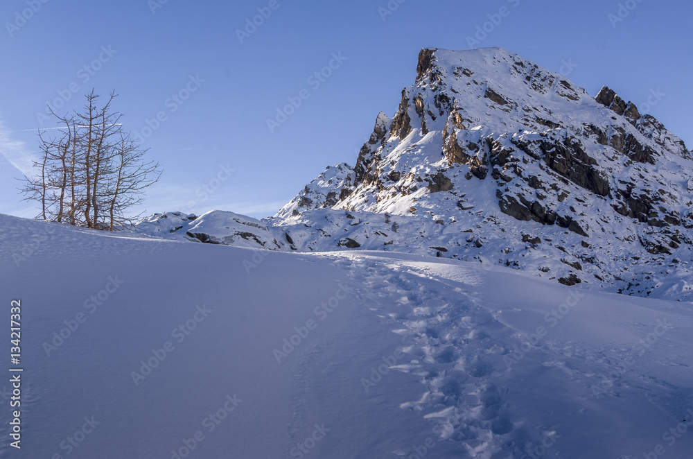 Vallée des Merveilles