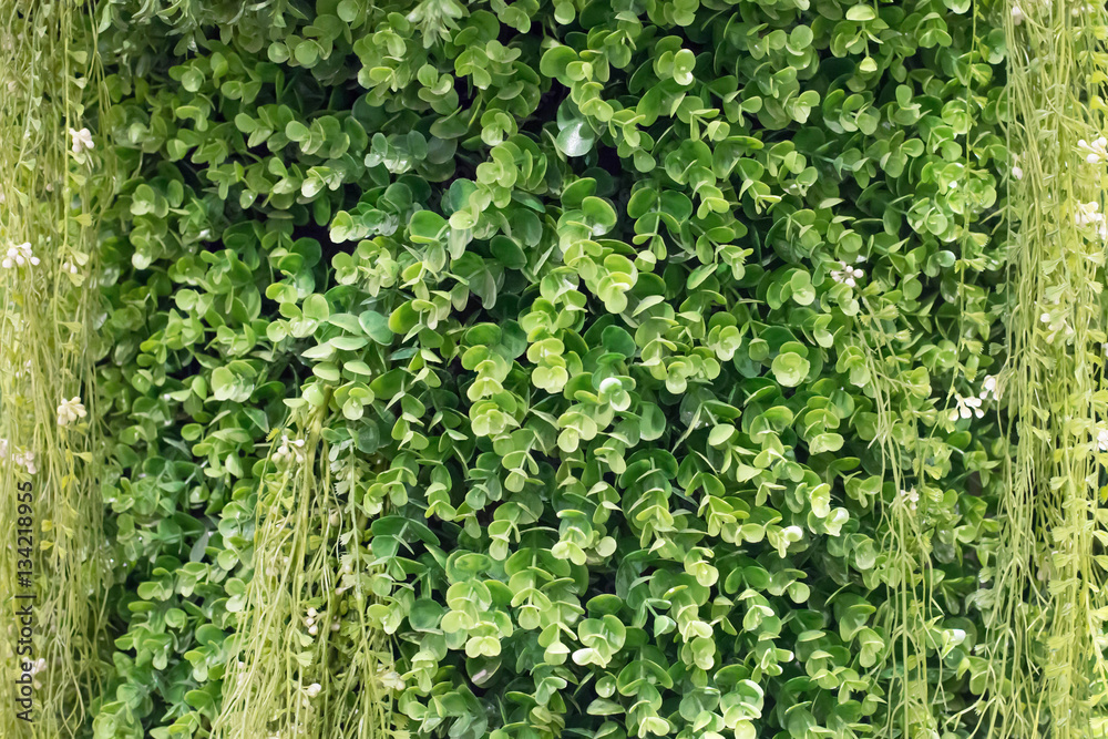 Obraz premium Artificial green branches floral background.