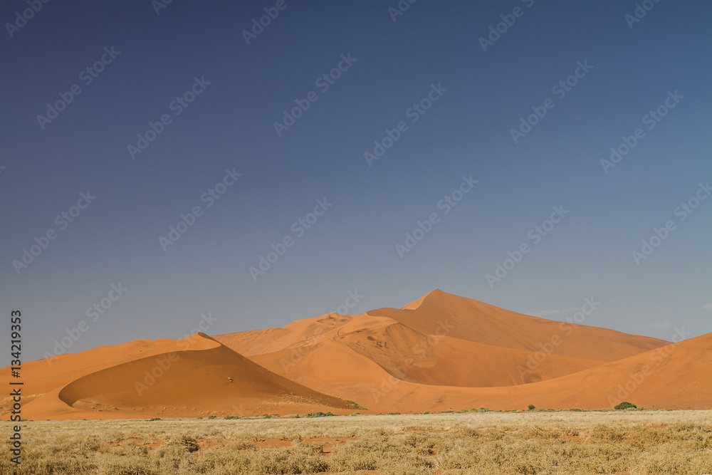 Namib Desert Dunes