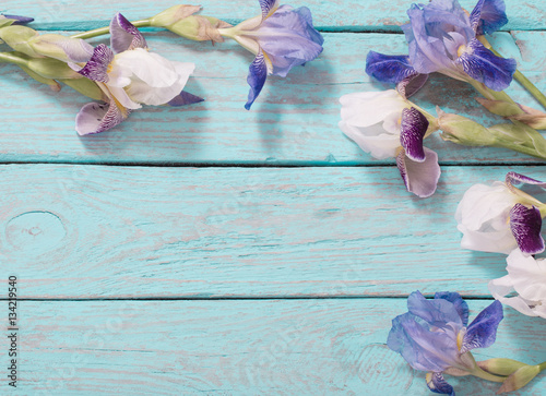 Fototapeta Naklejka Na Ścianę i Meble -  flowers on blue wooden background