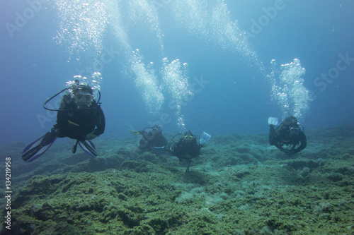 Wallpaper Mural El Hierro, La Restinga, Tauchen, Taucher, Meer, Kanaren, Kanarische Inseln, Insel,  Spanien, Europa Torontodigital.ca