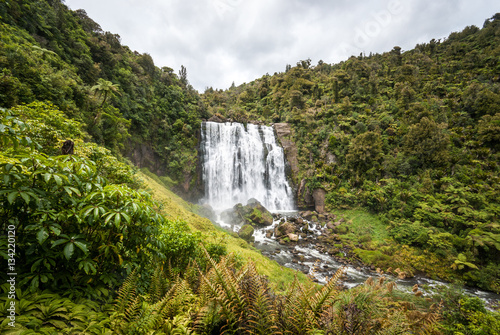 Marokopa Falls  New Zealand