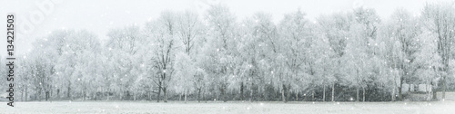 Panoramic image of the winter landscape © g215