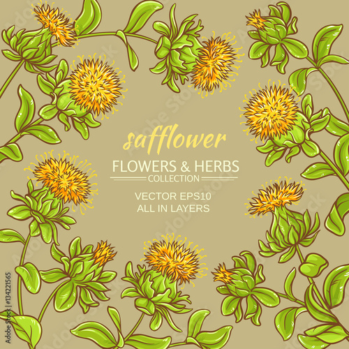 Canvas-taulu safflower vector frame