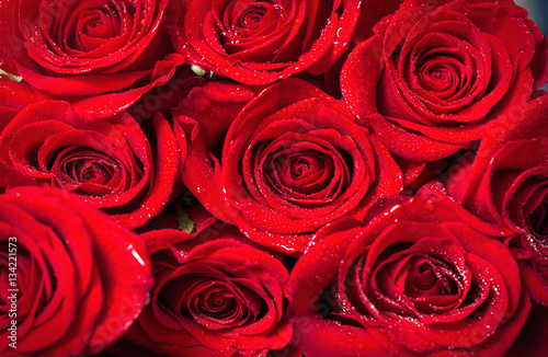 fresh red roses background.