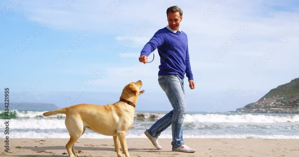 Happy mature man playing with dog on the beach