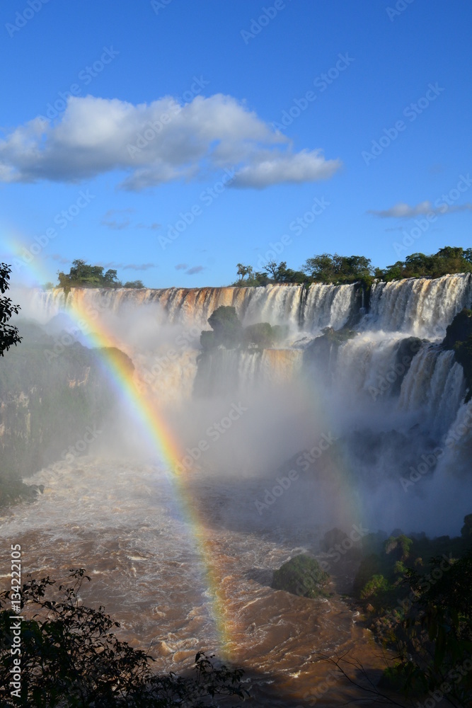 Fototapeta premium chute d'iguazu