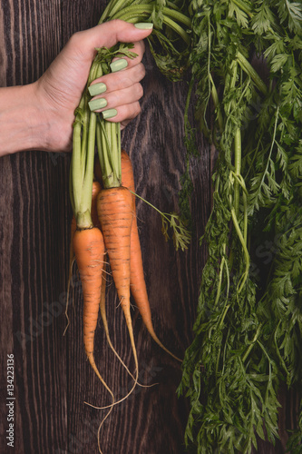 Freshly grown carrots