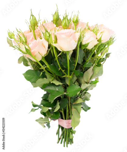 Bouquet of pink blooming fresh roses with buds isolated on white background