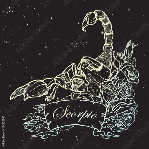Zodiac sign Scorpio. Detailed realistic scorpio in a decorative frame of roses. Sketch on a starry night sky background. Concept art for tattoo design, horoscope, coloring book for adults page.