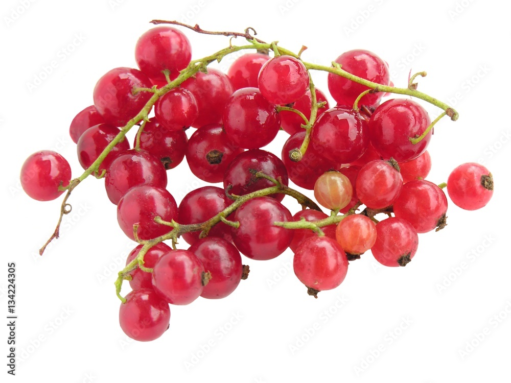 clusters of currants berries