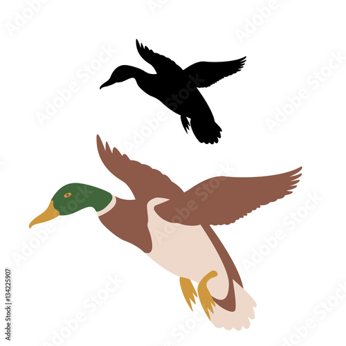 duck vector illustration style Flat set black silhouette