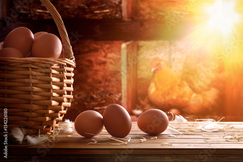Freshly picked eggs in basket with chicken within henhouse backg