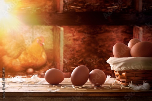 Freshly picked eggs in basket within a henhouse background
