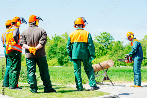 Kettensägen Ausbildung