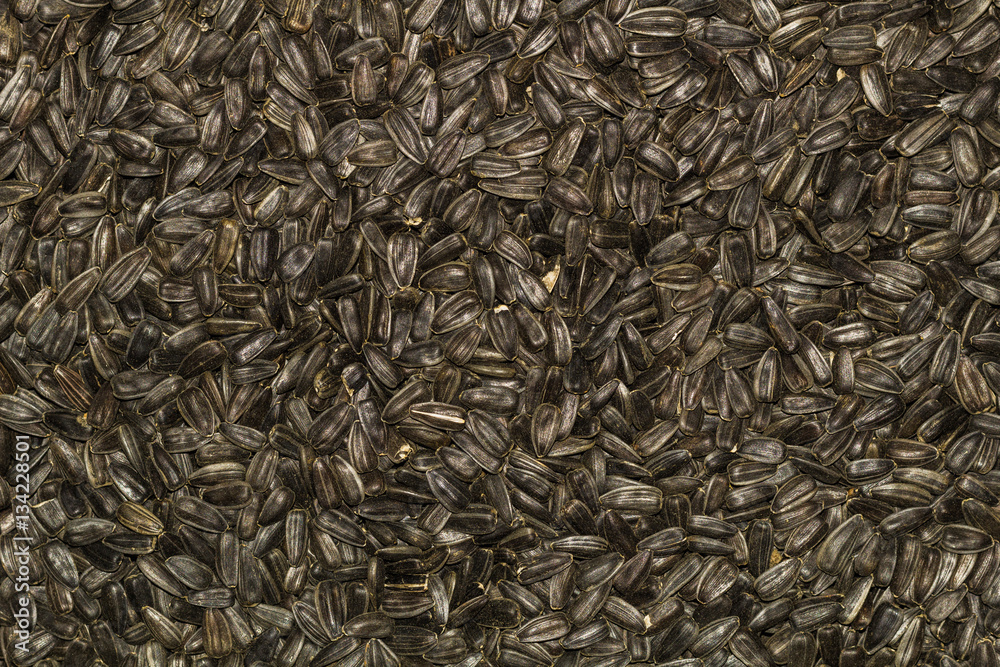 Sunflower Seeds background / wallpaper Sunflower Seeds background / wallpaper