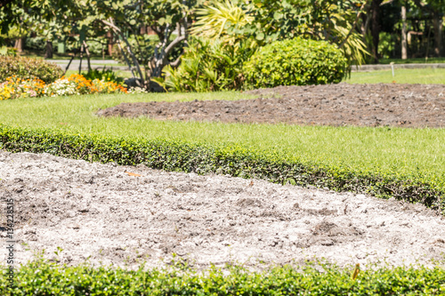 Lime on the soil in the garden.