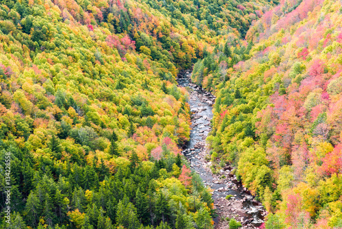 Blackwater river with Allegheny mountains in autumn photo