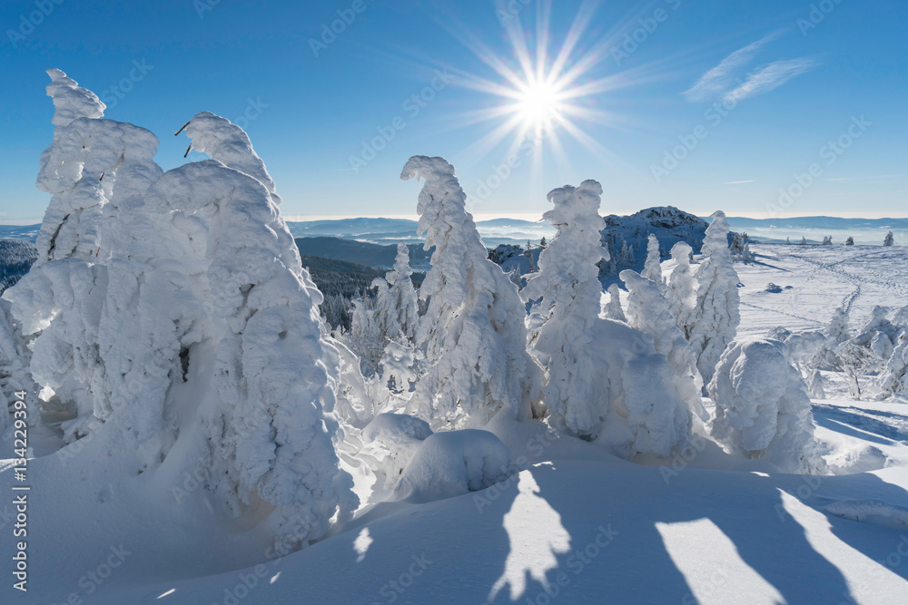 Fototapeta premium Winterlandschaft
