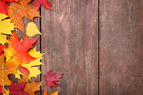 Autumn leaves on a board background