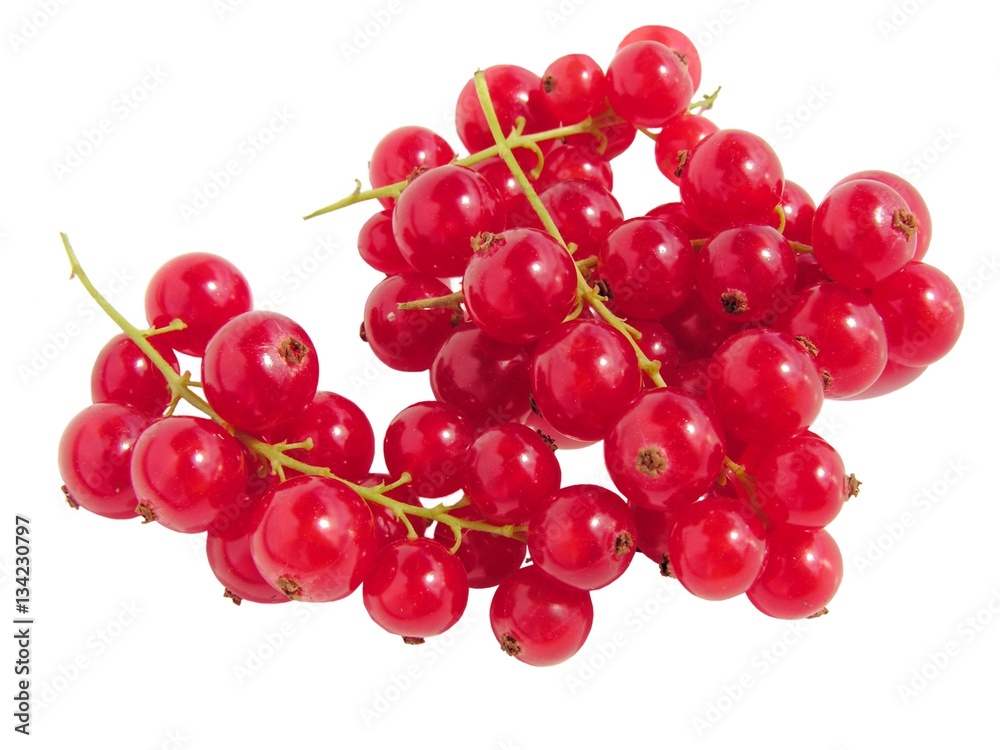 clusters of currants berries clusters of currants berries