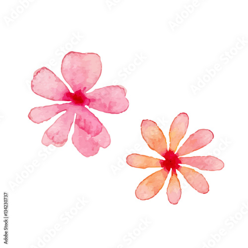 Vector Illustration of Floral Watercolor Design Elements