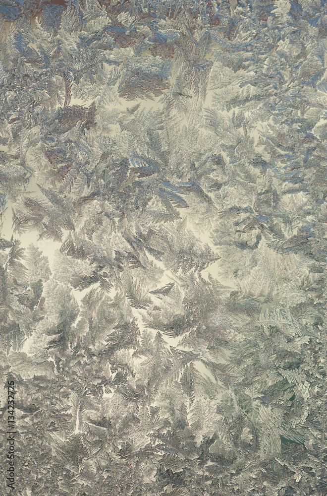 Obraz premium iceFlowers